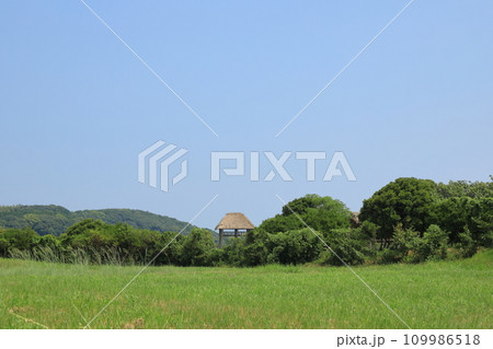 草原の向こうに見える壱岐島原の辻遺跡の建物の景色 草原の向こうに見える壱岐島原の辻遺跡の建物の景色 109986518