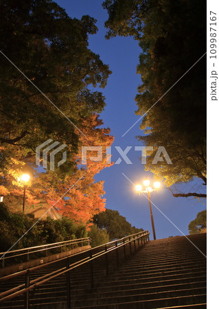 秋の紅葉に染まる夜の階段 秋の紅葉に染まる夜の階段 109987167