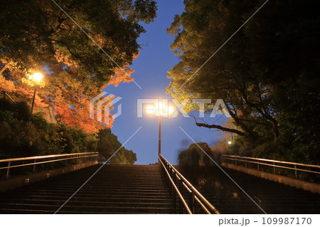 秋の紅葉に染まる夜の階段 秋の紅葉に染まる夜の階段 109987170