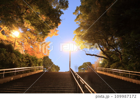 秋の紅葉に染まる夜の階段 秋の紅葉に染まる夜の階段 109987172