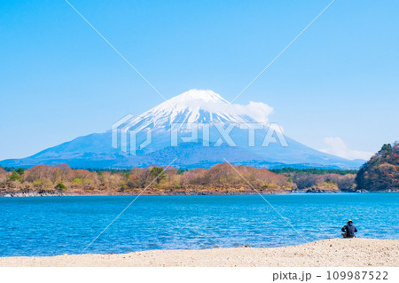 富士山（春・精進湖より） 109987522