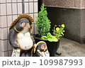 たぬきの置物 109987993
