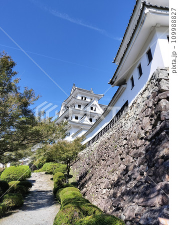 日本最古の木造再建城郡上八幡城 109988827