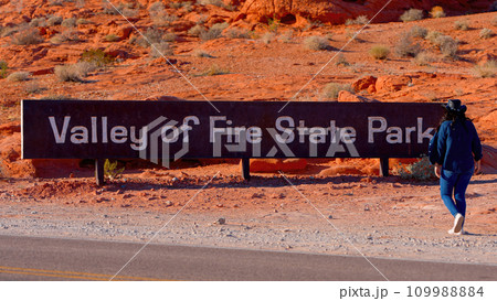 Valley of Fire State Park in Nevada 109988884
