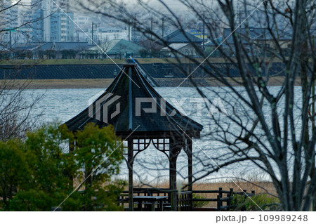 冬の溜池風景 109989248