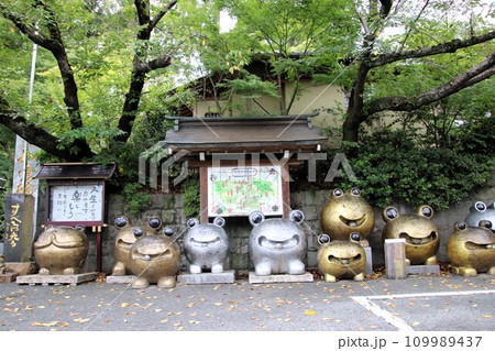 福岡県小郡市の如意輪寺の境内風景 福岡県小郡市の如意輪寺の境内風景 109989437