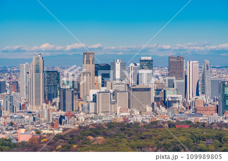 （東京都）代々木公園越しに新宿の超高層ビル群 109989805
