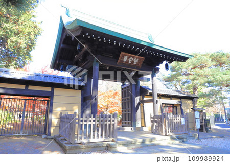 豪徳寺（ごうとくじ）「山門」　東京都世田谷区 109989924