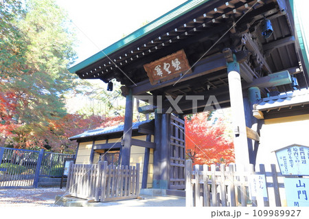 豪徳寺(ごうとくじ)「山門」 東京都世田谷区 豪徳寺(ごうとくじ)「山門」 東京都世田谷区 109989927