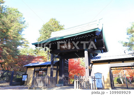 豪徳寺(ごうとくじ)「山門」 東京都世田谷区 豪徳寺(ごうとくじ)「山門」 東京都世田谷区 109989929