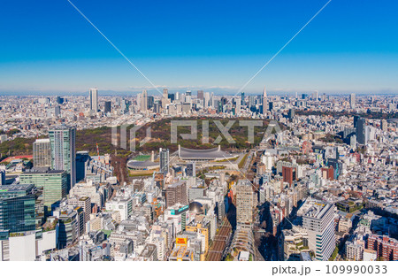 （東京都）代々木公園の緑と新宿の超高層ビル群 109990033