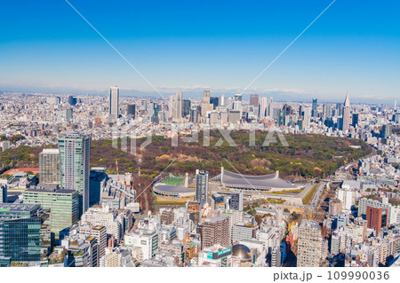 （東京都）代々木公園の緑と新宿の超高層ビル群 109990036
