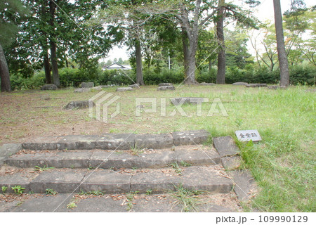 多賀城廃寺跡にある金堂跡(宮城県多賀城市) 109990129