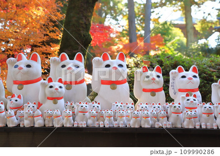 豪徳寺（ごうとくじ）　招福猫児（まねぎねこ） 109990286