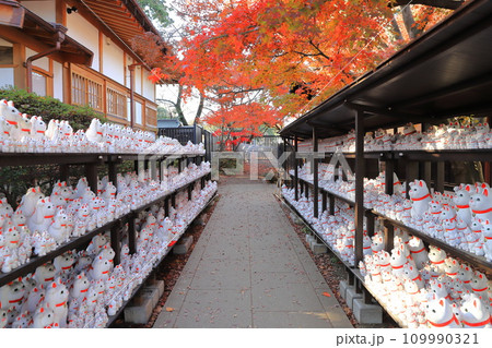 豪徳寺（ごうとくじ）　招福猫児（まねぎねこ）　 109990321