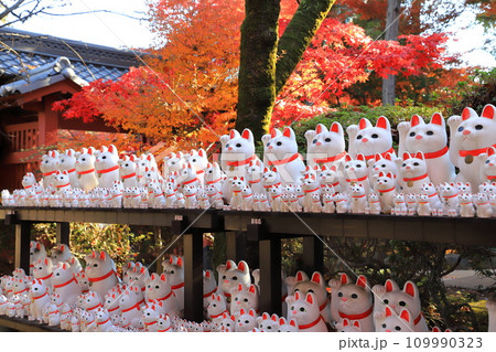 豪徳寺(ごうとくじ) 招福猫児(まねぎねこ) 豪徳寺(ごうとくじ) 招福猫児(まねぎねこ) 109990323