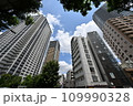 都会のビル群 109990328