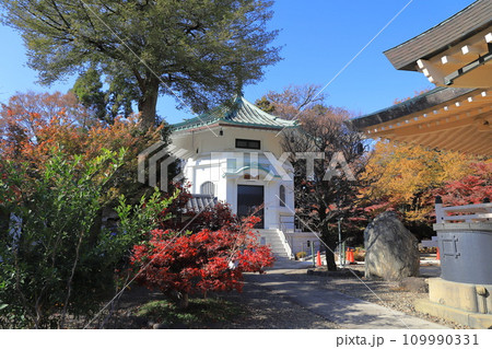 豪徳寺（ごうとくじ）　納骨堂　東京都世田谷区 109990331