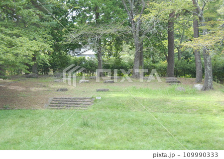 多賀城廃寺跡の金堂跡全景(宮城県多賀城市) 多賀城廃寺跡の金堂跡全景(宮城県多賀城市) 109990333