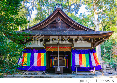 京都市北区上賀茂本山の大田神社　拝殿 109990515