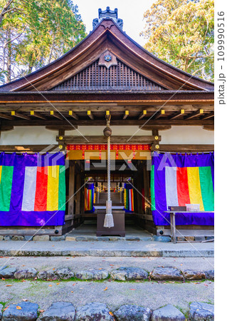 京都市北区上賀茂本山の大田神社　拝殿 109990516