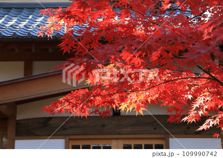 豪徳寺(ごうとくじ)茶室「無二庵」 東京都世田谷区 豪徳寺(ごうとくじ)茶室「無二庵」 東京都世田谷区 109990742