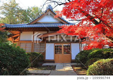 豪徳寺（ごうとくじ）茶室「無二庵」　東京都世田谷区 109990744