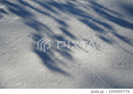 雪に映る影 雪に映る影 109990776
