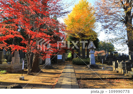 豪徳寺（ごうとくじ）　彦根藩井伊家墓所　東京都世田谷区 109990778