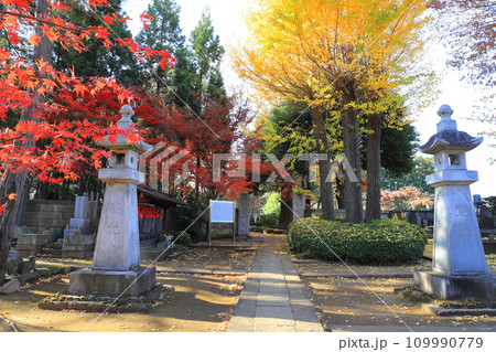 豪徳寺（ごうとくじ）　彦根藩井伊家墓所　東京都世田谷区 109990779
