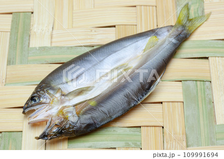 天然鮎の一夜干し 109991694