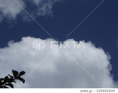 稲毛海浜公園浜の青い空と白い雲 109992694