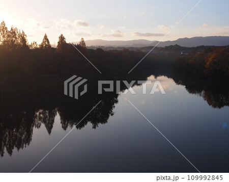 堺市　光明池の紅葉 109992845
