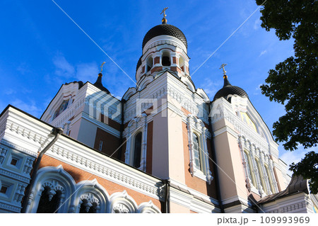 タリンの独特な建築物 Aleksander Nevski Katedraal 109993969