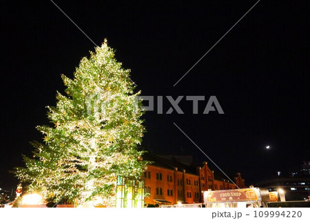 ライトアップされたクリスマスツリー ライトアップされたクリスマスツリー 109994220