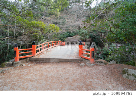紅葉谷公園のもみじ橋（宮島） 109994765