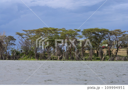 Amazing landscape with Lake Naivasha 109994951