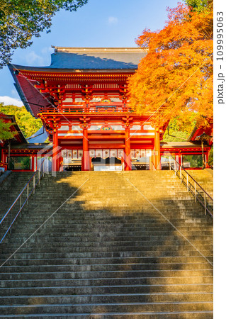 滋賀県大津市神宮町の近江神宮 楼門と紅葉 滋賀県大津市神宮町の近江神宮 楼門と紅葉 109995063