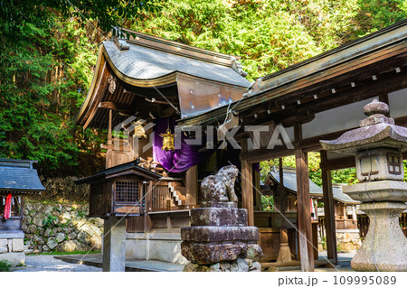 滋賀県大津市錦織の宇佐八幡神社　本殿 109995089