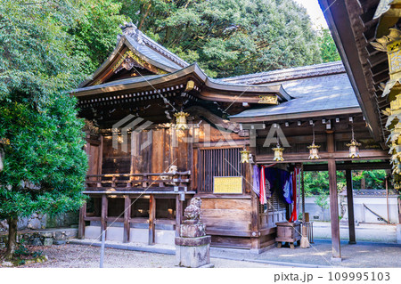 滋賀県大津市山上町の早尾神社 本殿 滋賀県大津市山上町の早尾神社 本殿 109995103