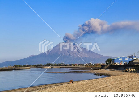 道の駅たるみずはまびら(鹿児島県) 道の駅たるみずはまびら(鹿児島県) 109995746