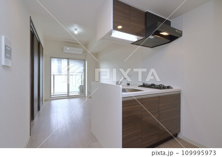 マンション LDK マンション LDK 109995973