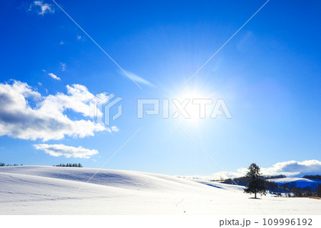 青空広がる冬の北海道富良野市の木のある風景 109996192