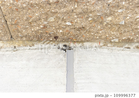 固まったコンクリートの目地とブロック塀の境界 109996377