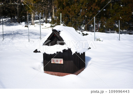京都美山　かやぶきの里　雪景色　放水銃 109996443