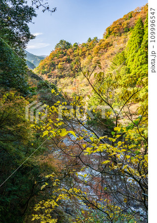 秘境の秋の五家荘紅葉風景 109996547