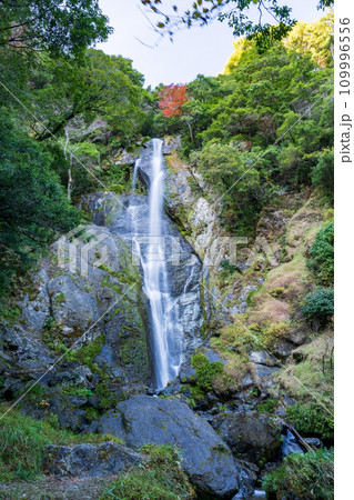 秘境の秋の五家荘紅葉風景 109996556