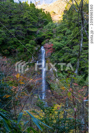 秘境の秋の五家荘紅葉風景 秘境の秋の五家荘紅葉風景 109996560