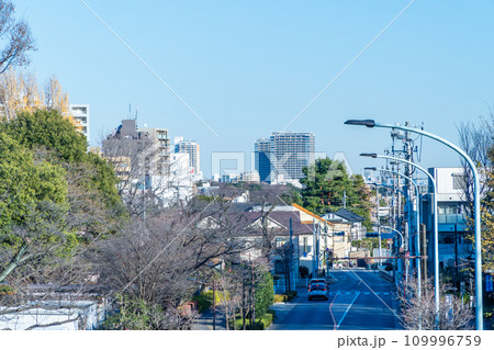 東京都 国分寺市の住宅街風景 東京都 国分寺市の住宅街風景 109996759