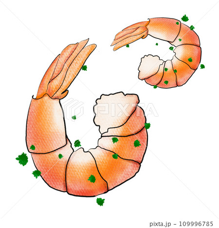 The Shrimp drawing png image for food concept The Shrimp drawing png image for food concept 109996785